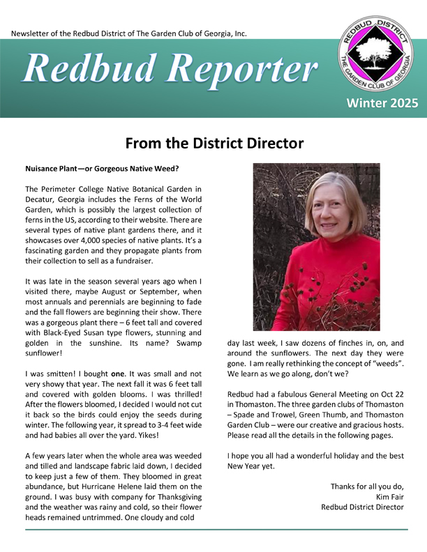 reporter winter 2025